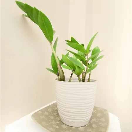 Apartamento Batory Gdynia