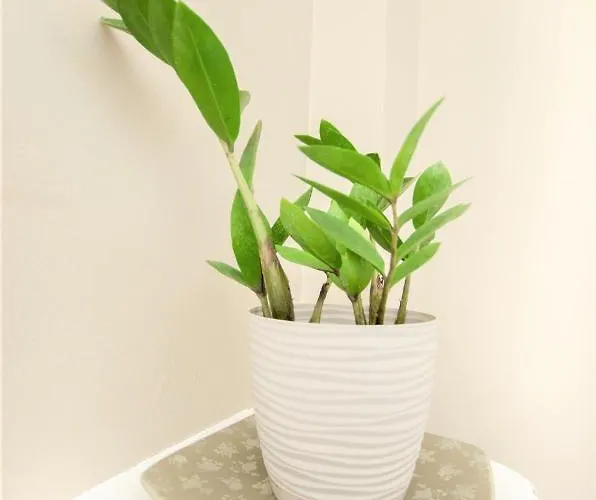 Apartament Batory Gdynia